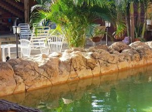 Hospedaje Solymar Sarie Bay | Punta Hansa
