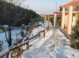 Bhowali Nainital | Pangot