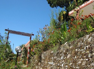 Bhowali Nainital | Pangot