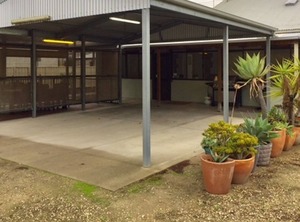 Macdonnell Naracoorte | Naracoorte