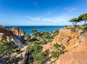 Pine Cliffs Garden | Olhos D'Agua