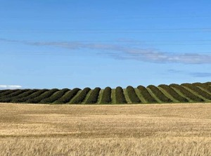 Holiday Sjællands | Yderby