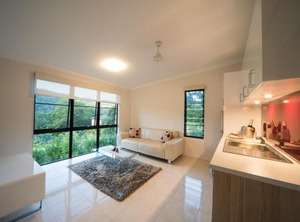 Seclude Rainforest Retreat | Palm Grove