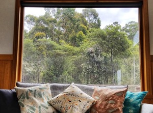 Forest Accommodation | Southport
