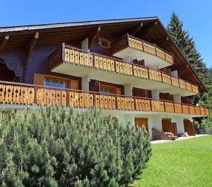 Sapin Bleu 
