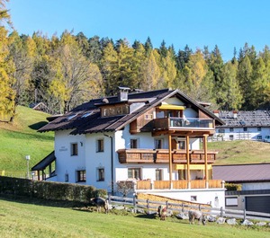 Renauer 
