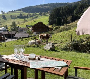 Sonnenblick Todtnau 