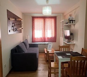 Apartamento Canfranc Estacion 