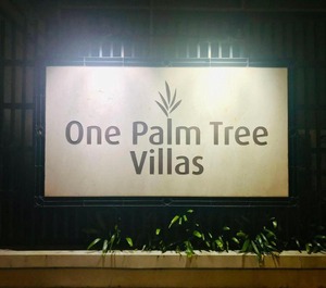 Palm Tree Villa 