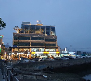 Owl Hotel 