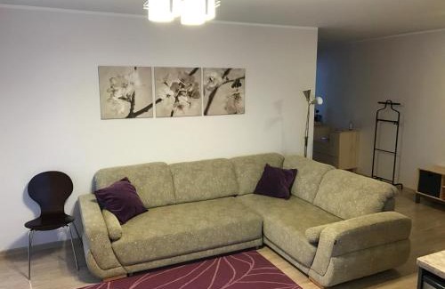 Druskininkai Apartment | Šaulys1