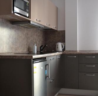 Druskininkai Apartment | Šaulys1