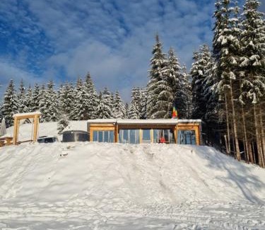 Colibita Cabin | Ținutul Lupilor