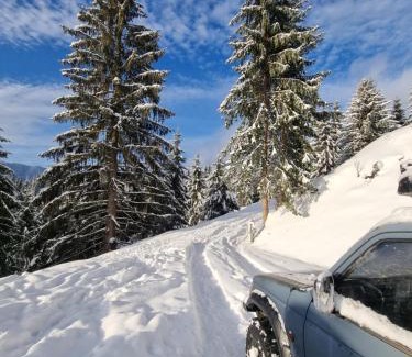 Colibita Cabin | Ținutul Lupilor