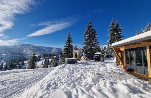 Colibita Cabin | Ținutul Lupilor