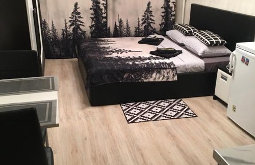 Zvezdnoe Apartment | Апартаменты "ДоМиНо"