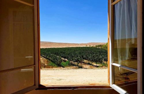 Mitzpe Ramon Other | כרם שיזף