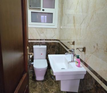 Mansoura Apartment | أطلالة النيل apartment