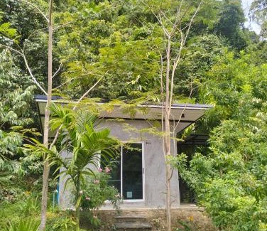 Kong Ra Apartment | บ้านเล็กในป่าใหญ่โฮมสเตย์ กงหรา พัทลุง