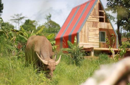 Mok Cham Pae House | ไร่นิธิสุนทร nithisoonthon farmstay