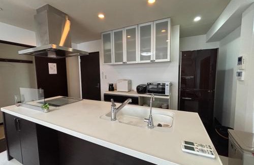 Nagawa Apartment | 褚之屋一号