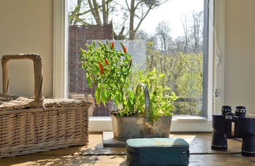 Bishop's Stortford Cottage | 1 bedroom accommodation in Elsenham, near Bishop’s Stortford