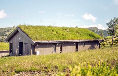 Skeikampen House | 10 person holiday home in F vang