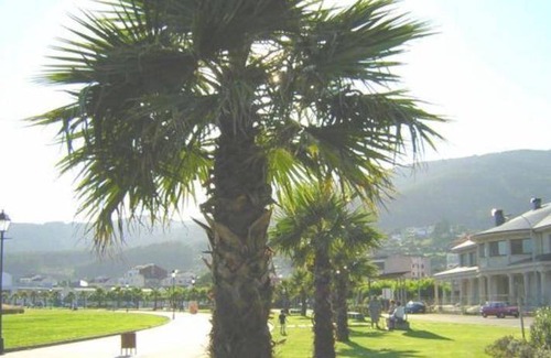 Carino Apartment | 100 m² Apartment ∙ 3 bedrooms ∙ 6 guests