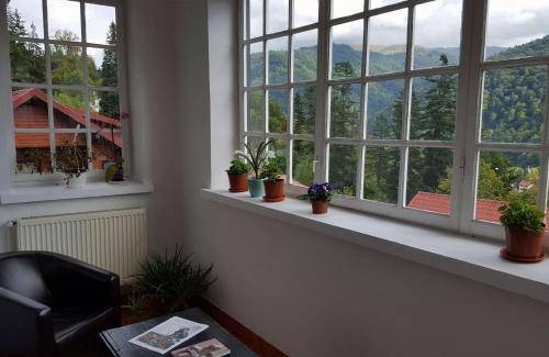 Sinaia Bed & Breakfast | 100 m² Bed and breakfast ∙ 12 bedrooms ∙ 25 guests