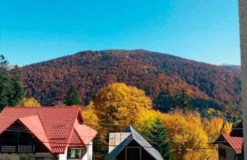 Sinaia Bed & Breakfast | 100 m² Bed and breakfast ∙ 12 bedrooms ∙ 25 guests