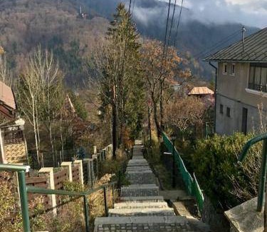 Sinaia Bed & Breakfast | 100 m² Bed and breakfast ∙ 12 bedrooms ∙ 25 guests