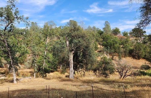 Mariposa House | 12 acre Horse Property on private creek near to Yosemite National Park