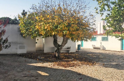 Prainha House | 190 m² House ∙ 4 bedrooms ∙ 8 guests