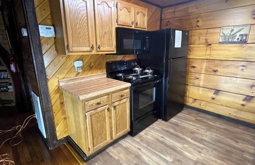 Gatlinburg - Pigeon Forge Cabin | 2 King Bds-SL 4-Great View-9 Mins to D'wood- Most Bear Visits-Cleanest Cabin Too