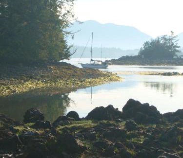 Ucluelet Apartment | 203 at Water's Edge