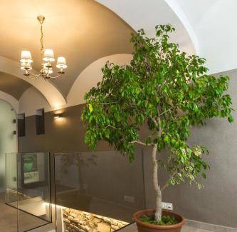 Gyor Apartment | 24 m² Apartment ∙ 3 guests