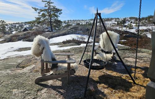 Tørdal House | 3 Bedroom Stunning Home In Drangedal