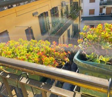 Washington Apartment | 30 m² Apartment ∙ 1 bedroom ∙ 2 guests