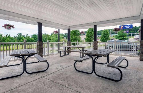 Milnesville Hotel | 31 m² Hotel ∙ 5 guests