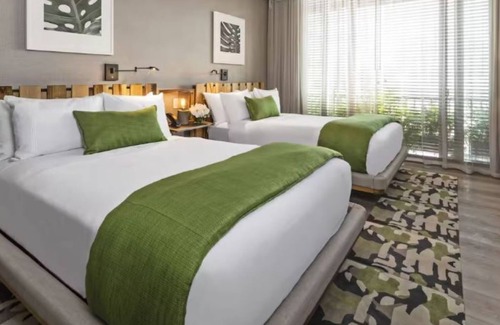 City Center Hotel | 4 Deluxe Double Rooms, Lennox Miami Beach, Chic Poolside, Boutique Service