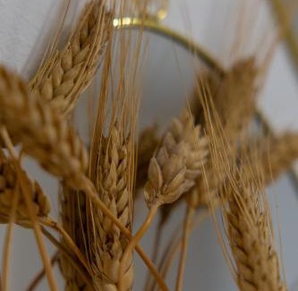 Borgo Roma Apartment | 4 Rustics Home