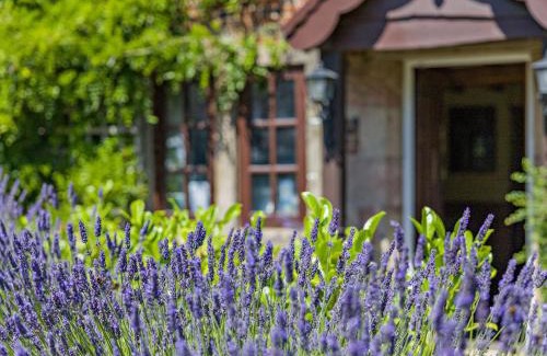 Cauldon Low House | 7 Bed in Waterhouses 81529