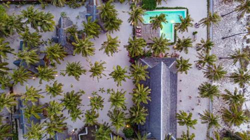 Rote Island Resort | 81 Palms Resort