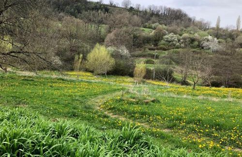 Ayen House | A Cozy Accessible Cottage with a Private Garden Le Mas No 16