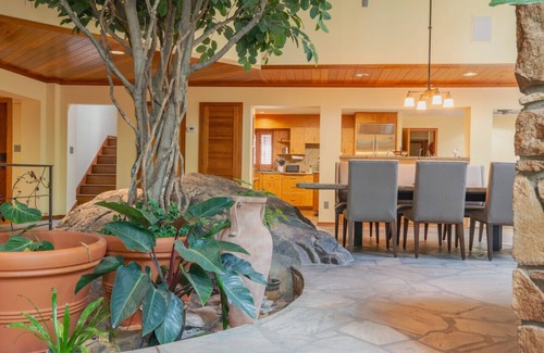 Chapel Hill House | A natural oasis and architectural wonder in Chapel Hill