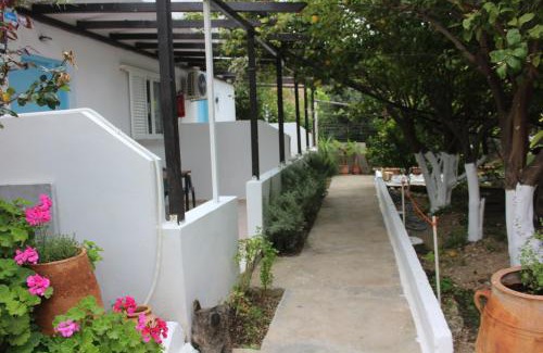 Ferma Apartment | Aaron Apartments