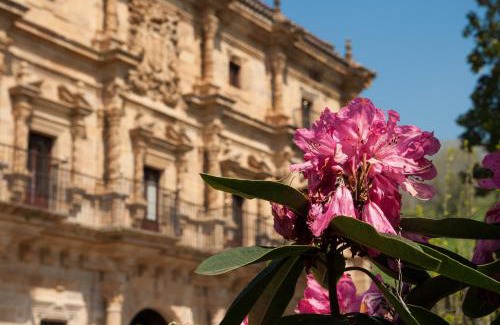 Barrio de Camino Hotel | Abba Palacio de Soñanes Hotel