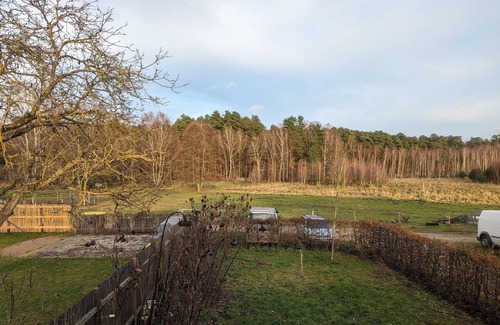 Muritz Apartment | Absolute Ruhe und Einsamkeit auf Einer Waldlichtung im Müritznationalpark