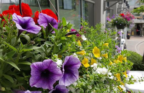 Richmond Hotel | Accent Inns Vancouver Airport