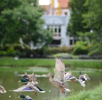 Suhl Hotel | ACHAT Hotel Suhl